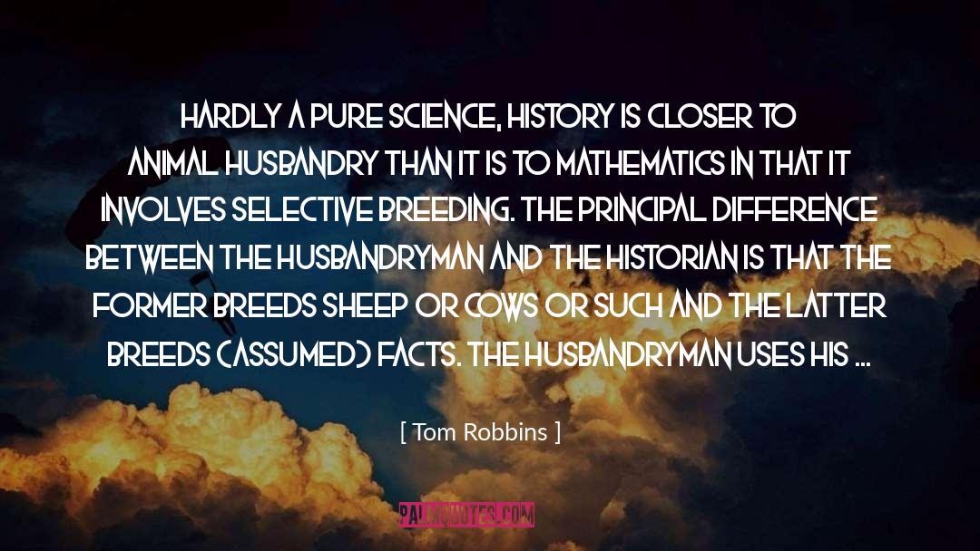 Frothinghams History quotes by Tom Robbins