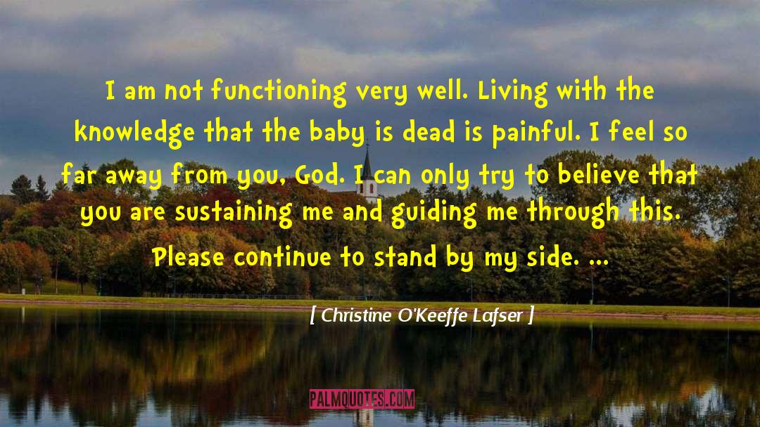 Frozen Grief quotes by Christine O'Keeffe Lafser