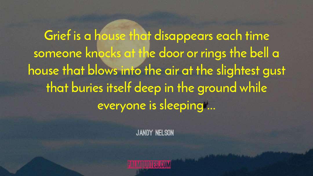 Frozen Grief quotes by Jandy Nelson