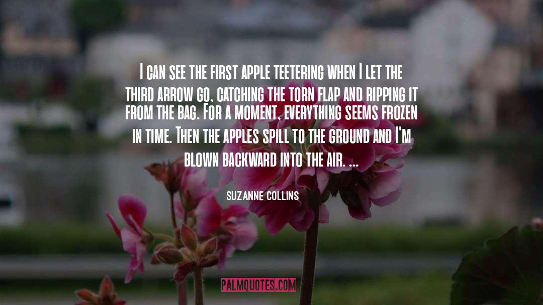 Frozen In Time quotes by Suzanne Collins