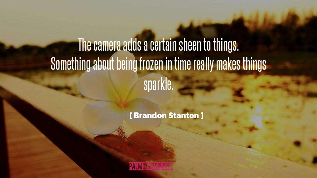 Frozen In Time quotes by Brandon Stanton