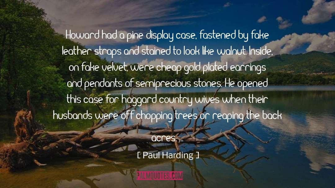 Frozen Lake quotes by Paul Harding