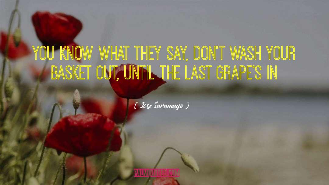 Fruit Basket quotes by Jose Saramago