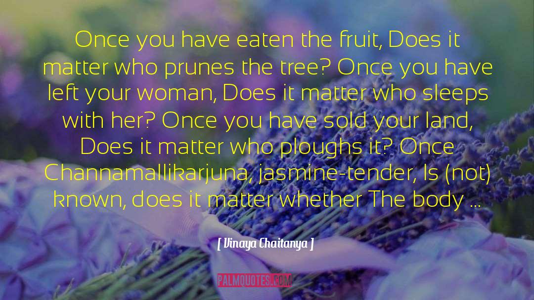 Fruit Basket quotes by Vinaya Chaitanya