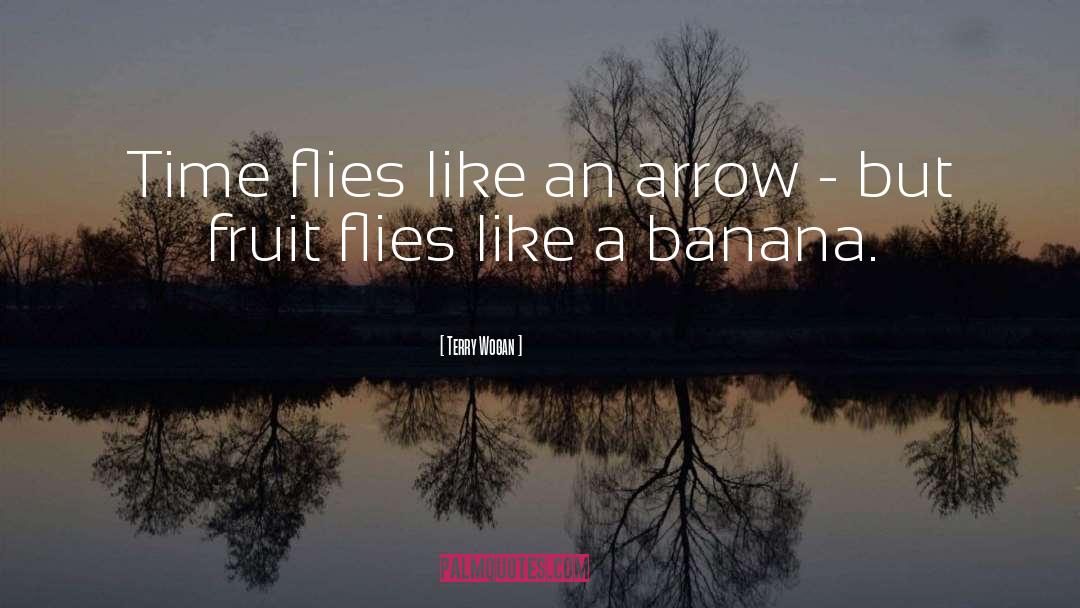 Fruit Flies quotes by Terry Wogan