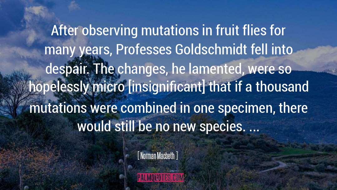 Fruit Flies quotes by Norman Macbeth