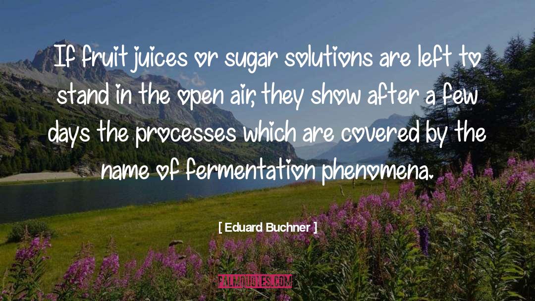 Fruit Juice quotes by Eduard Buchner