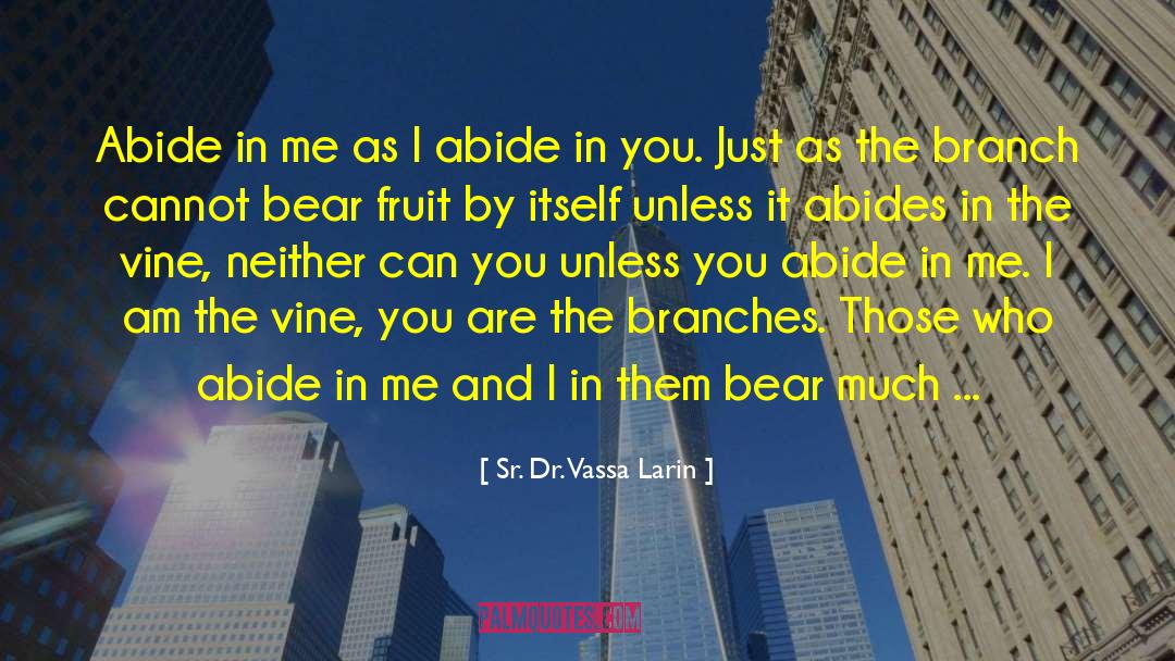 Fruit Ninja quotes by Sr. Dr. Vassa Larin