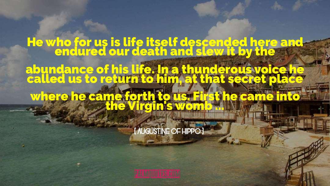Fruit Of The Womb quotes by Augustine Of Hippo