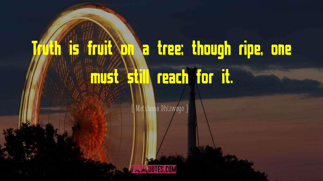 Fruit Preserves quotes by Matshona Dhliwayo