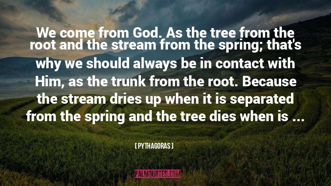Fruit Tree quotes by Pythagoras
