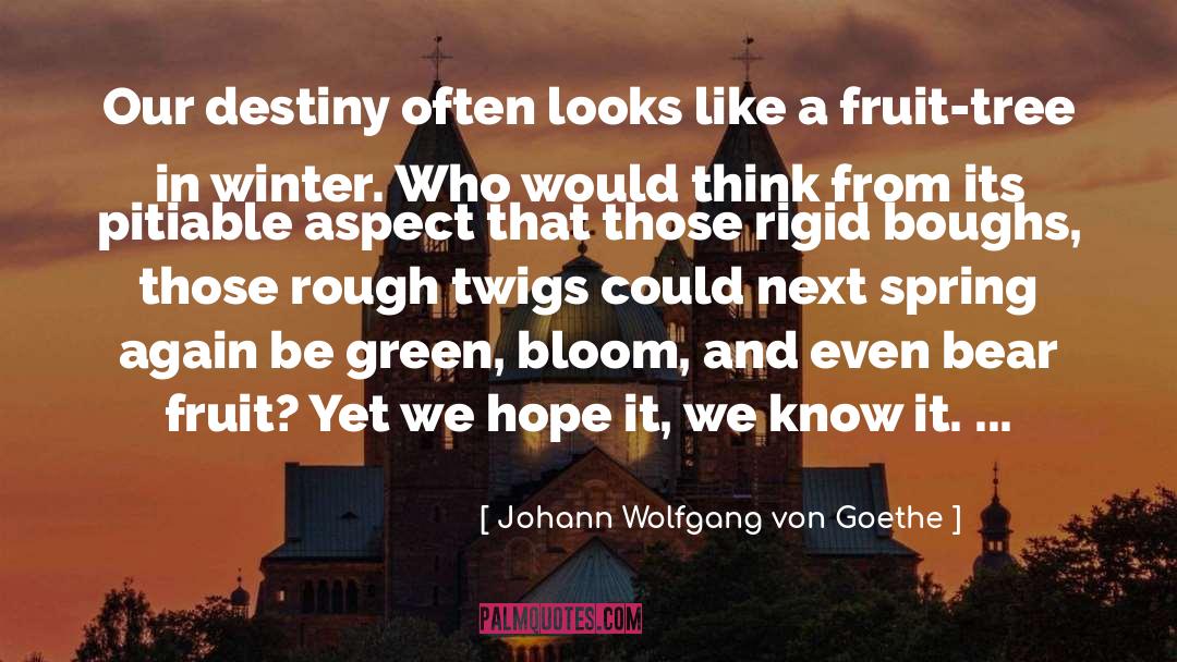 Fruit Tree quotes by Johann Wolfgang Von Goethe