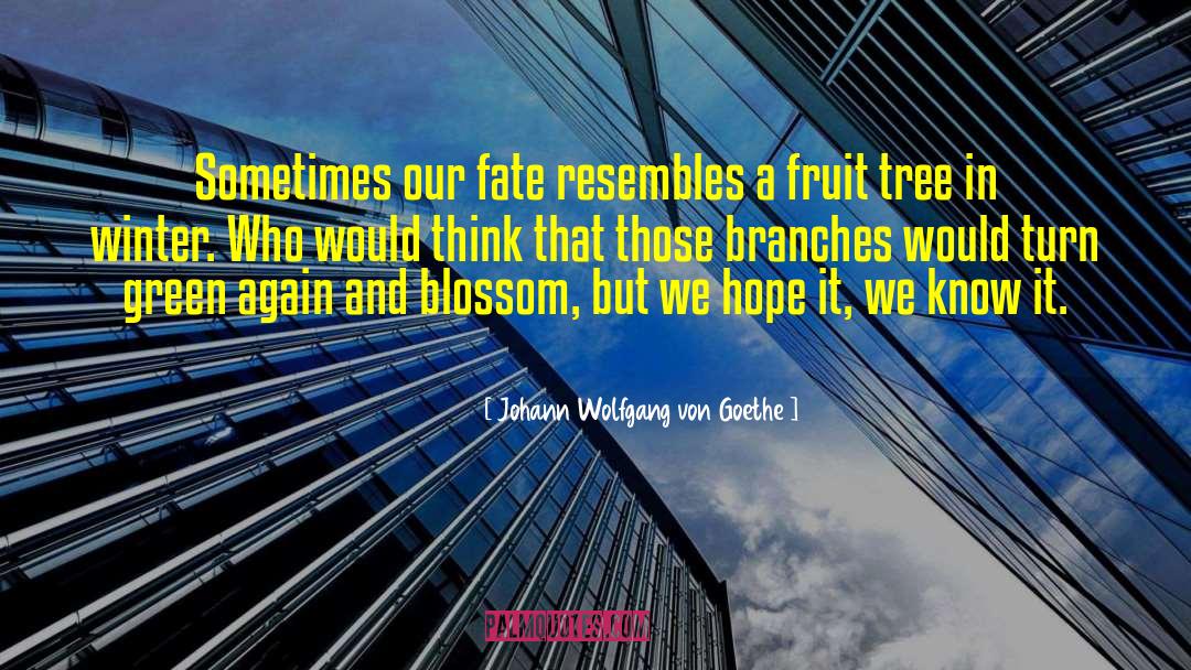 Fruit Tree quotes by Johann Wolfgang Von Goethe