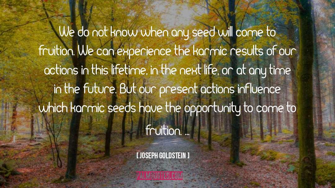 Fruition quotes by Joseph Goldstein