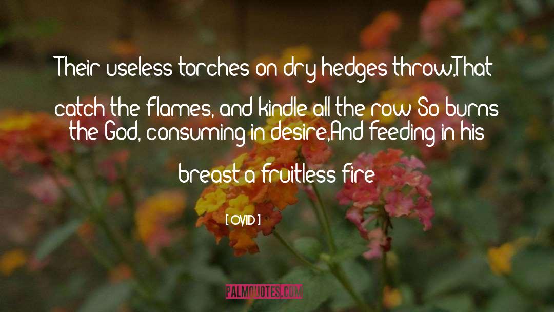 Fruitless quotes by Ovid