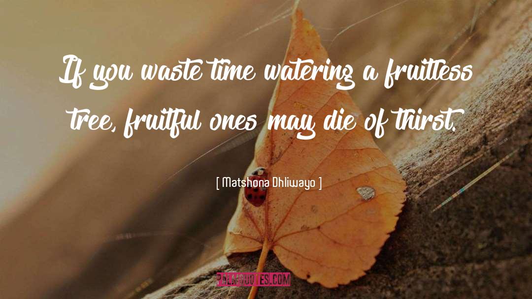 Fruitless quotes by Matshona Dhliwayo