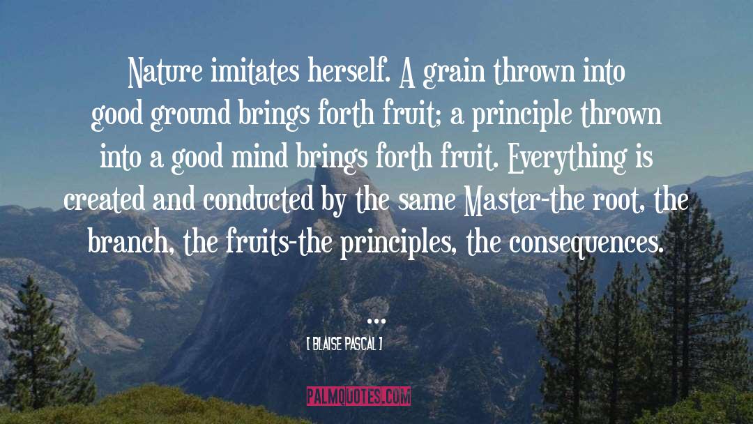 Fruits Basket quotes by Blaise Pascal