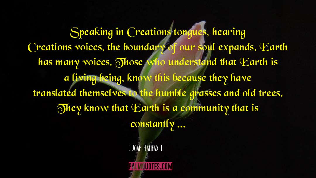 Fruits Of Creation quotes by Joan Halifax