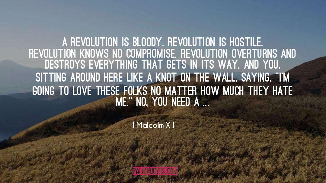 Fruits Of Love quotes by Malcolm X