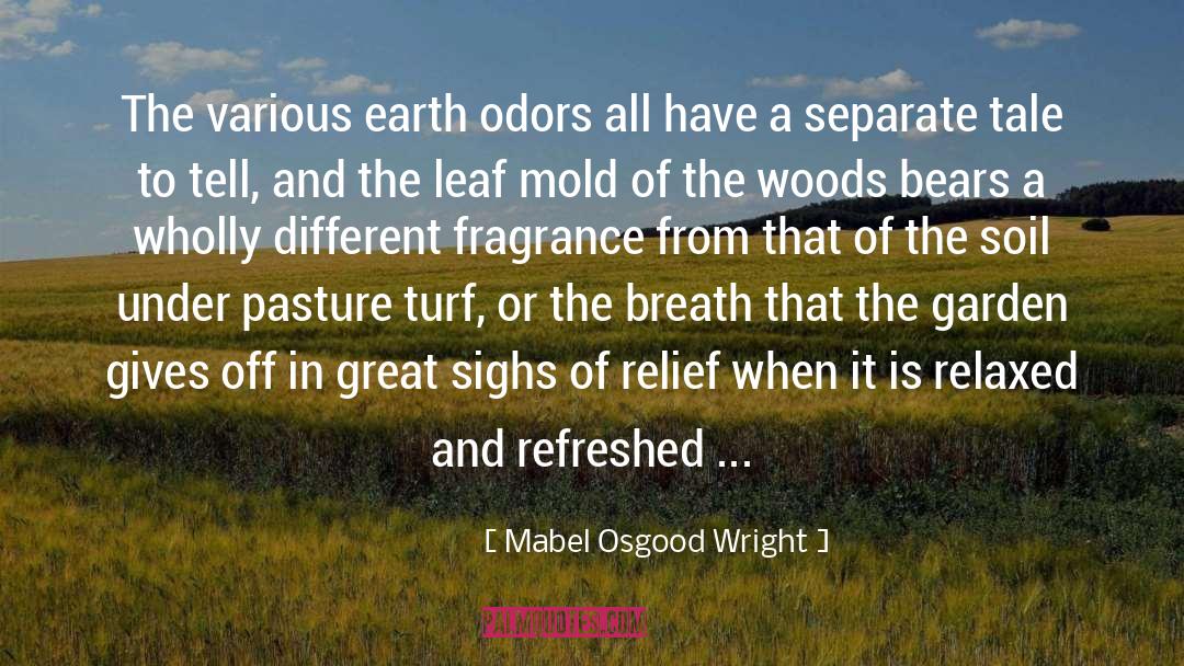 Fruits Of The Earth quotes by Mabel Osgood Wright