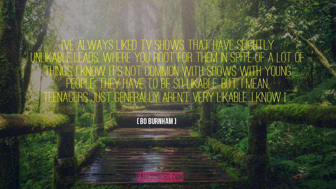 Frustrating Things quotes by Bo Burnham