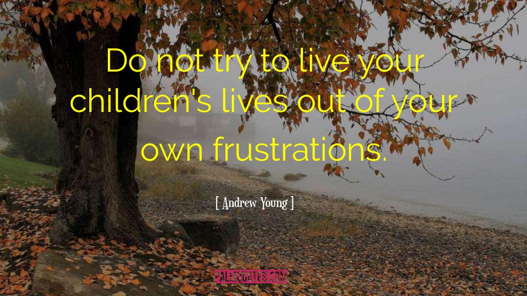 Frustrations quotes by Andrew Young