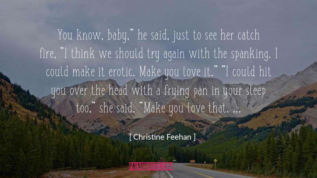 Frying Pan Boy quotes by Christine Feehan