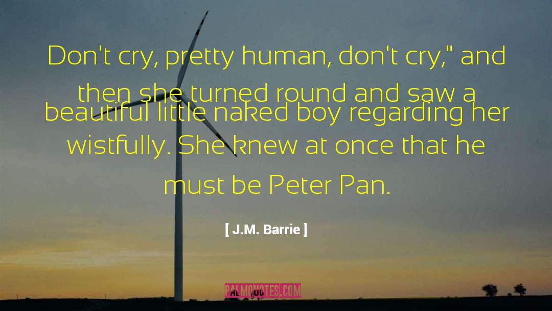 Frying Pan Boy quotes by J.M. Barrie