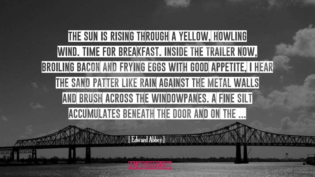 Frying quotes by Edward Abbey