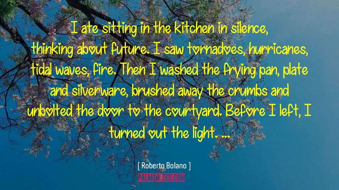Frying quotes by Roberto Bolano
