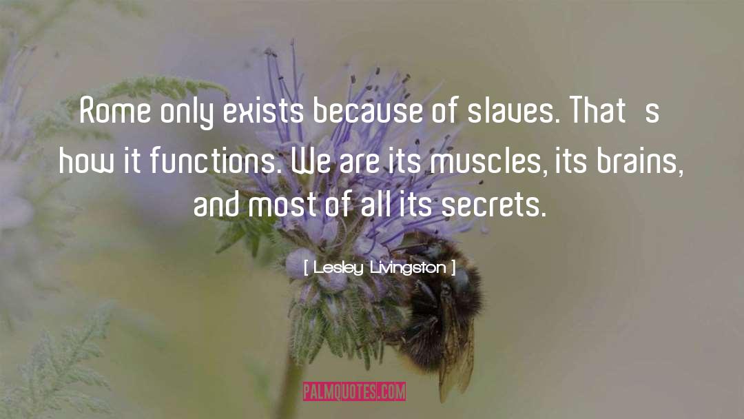 Fuchsian Functions quotes by Lesley Livingston