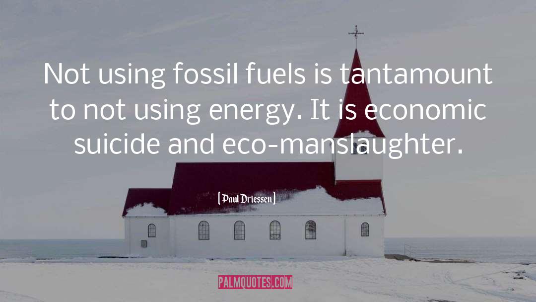 Fuels quotes by Paul Driessen