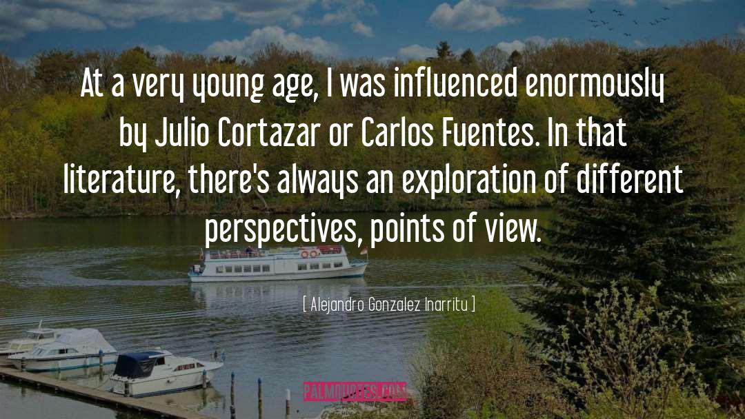 Fuentes quotes by Alejandro Gonzalez Inarritu