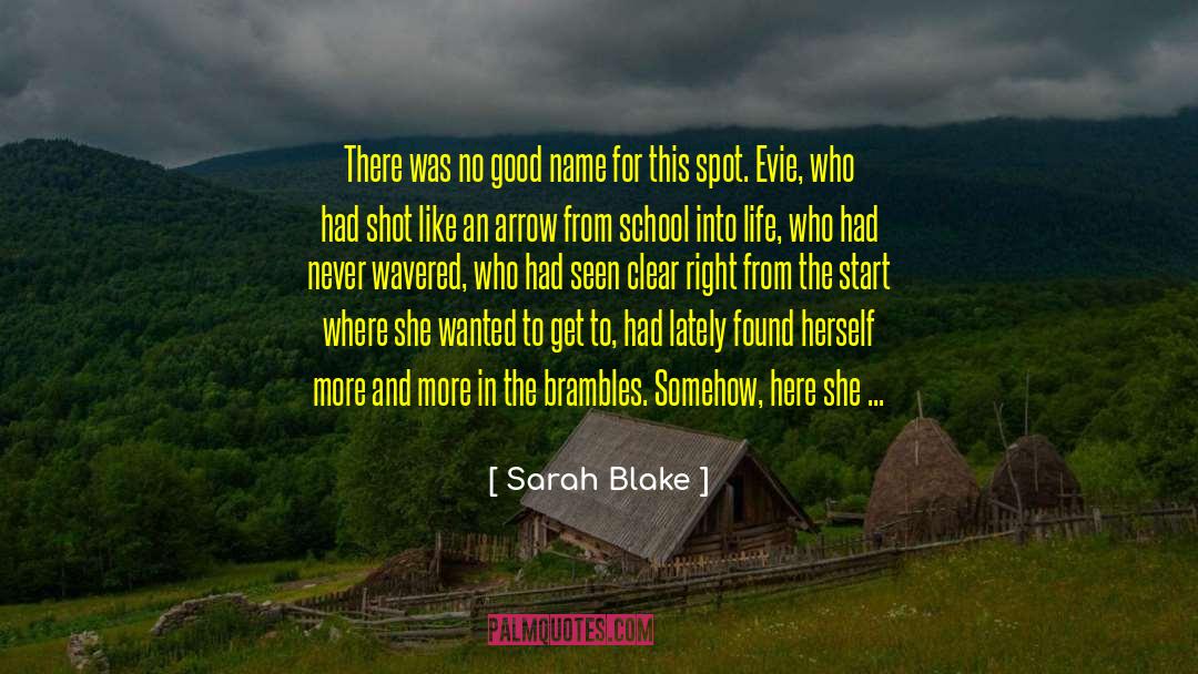 Fugitive quotes by Sarah Blake