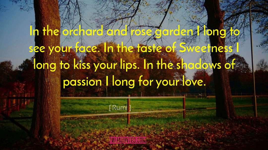 Fuhrmans Orchard quotes by Rumi