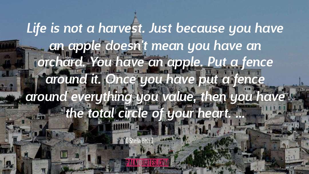 Fuhrmans Orchard quotes by Sheila Heti