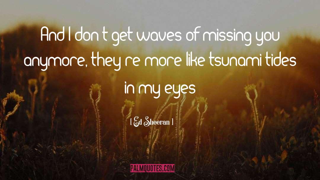 Fukushima Tsunami quotes by Ed Sheeran