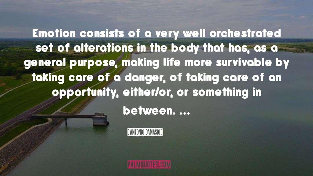 Fulfill A Purpose Of Life quotes by Antonio Damasio