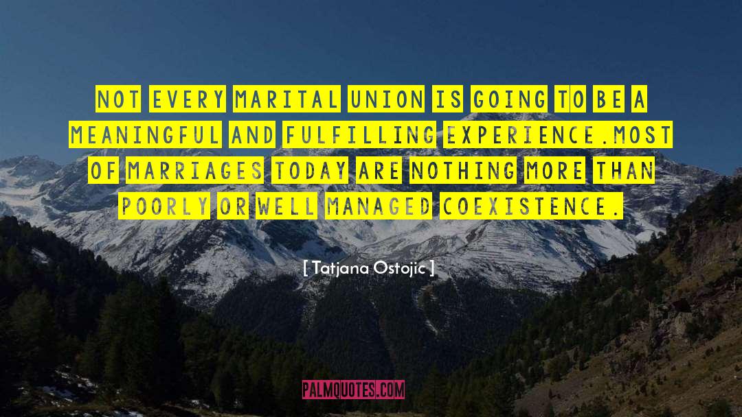 Fulfilling quotes by Tatjana Ostojic