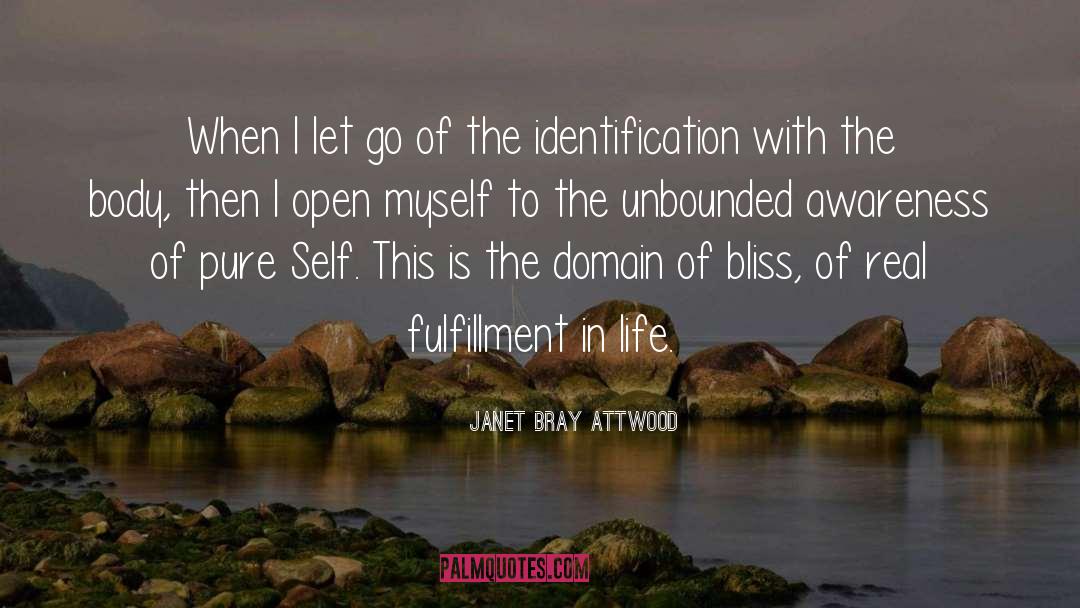Fulfillment In Life quotes by Janet Bray Attwood