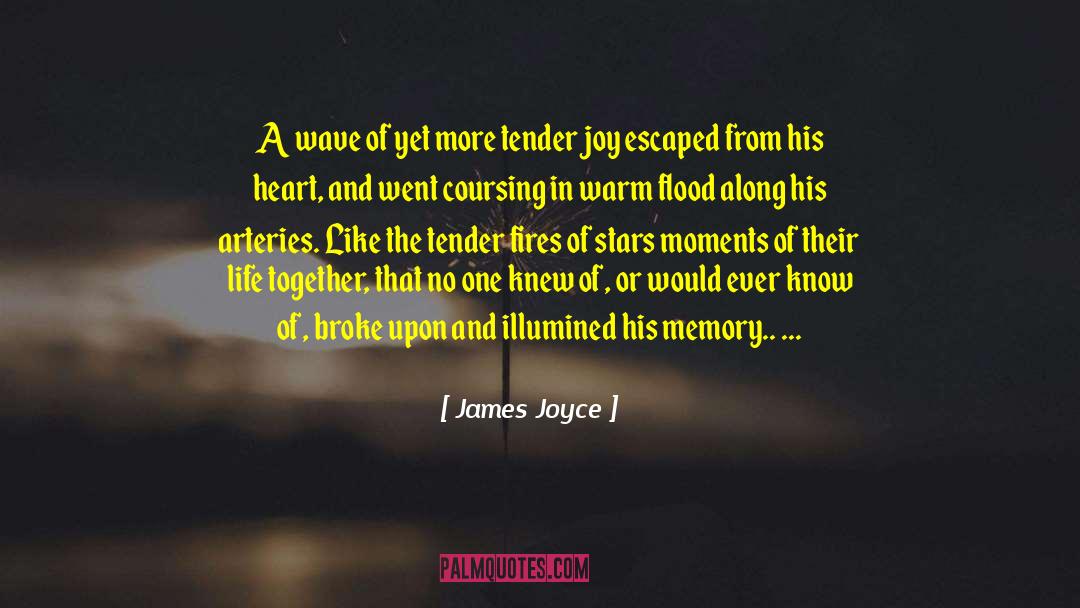 Fulfillment In Life quotes by James Joyce