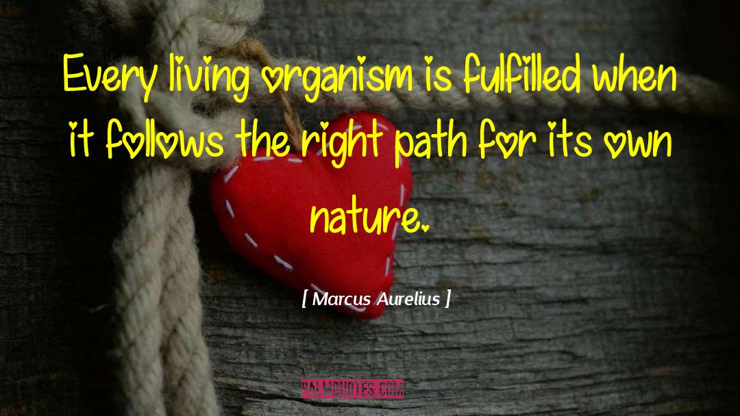 Fulfilment quotes by Marcus Aurelius