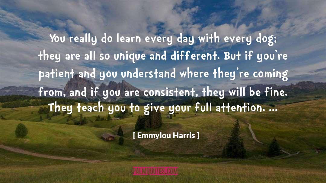 Full Attention quotes by Emmylou Harris