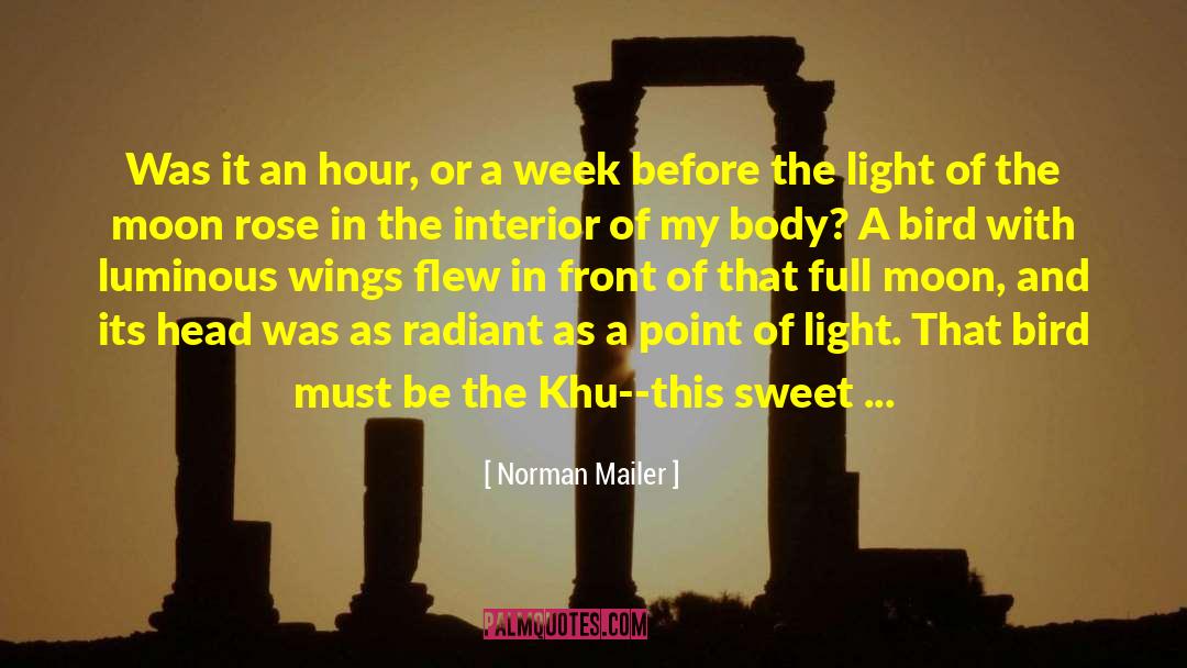 Full Moon quotes by Norman Mailer
