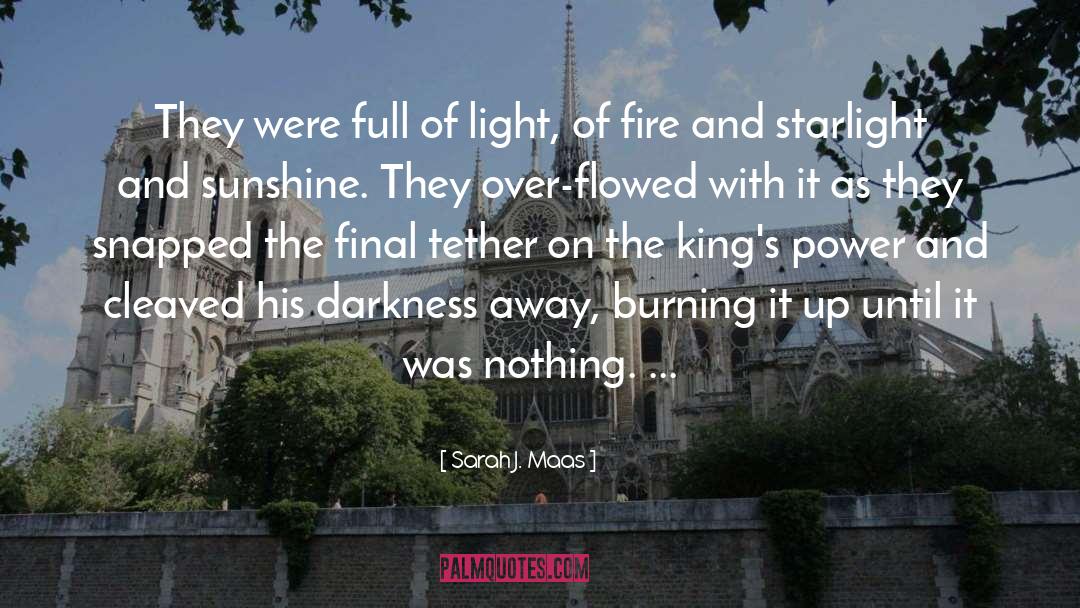 Full Of Light quotes by Sarah J. Maas