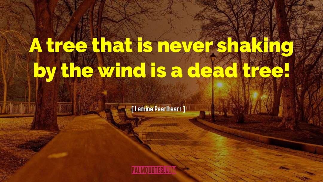 Fullest quotes by Lamine Pearlheart