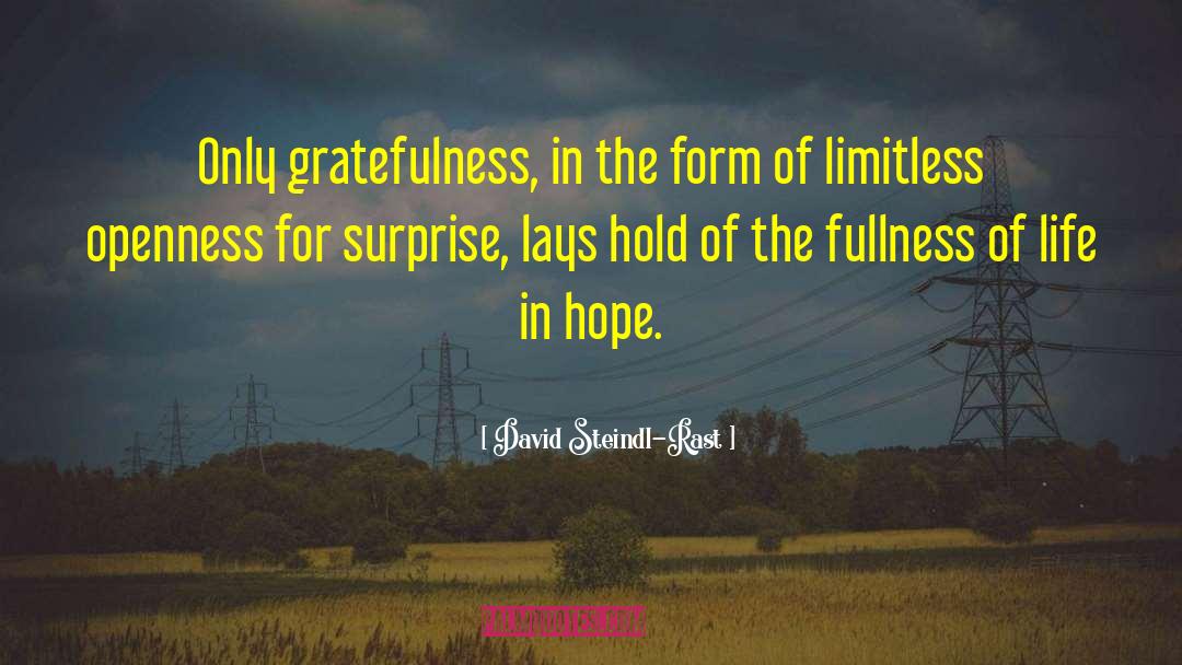 Fullness Of Life quotes by David Steindl-Rast