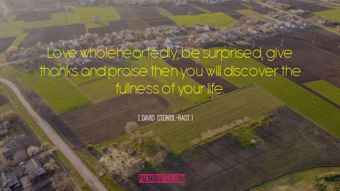 Fullness Of Life quotes by David Steindl-Rast