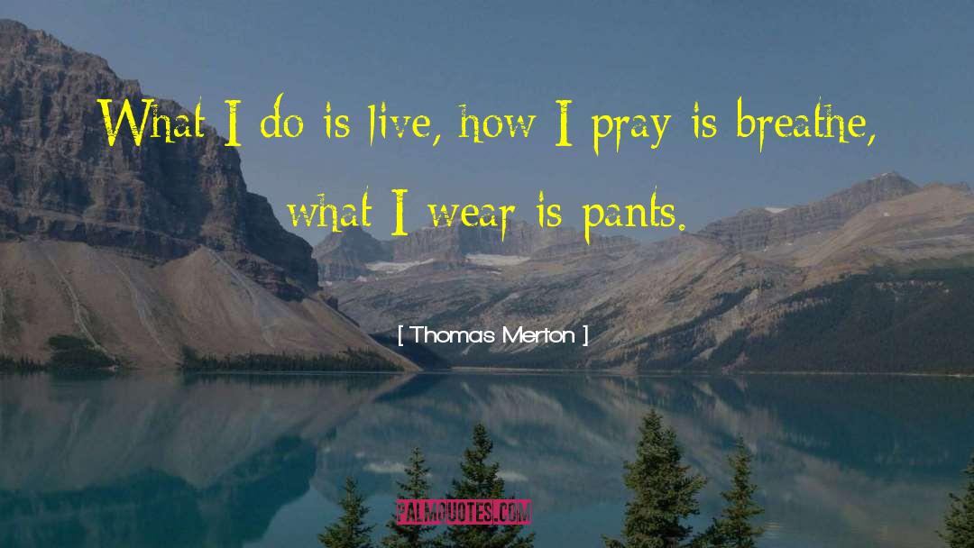 Fully Live quotes by Thomas Merton