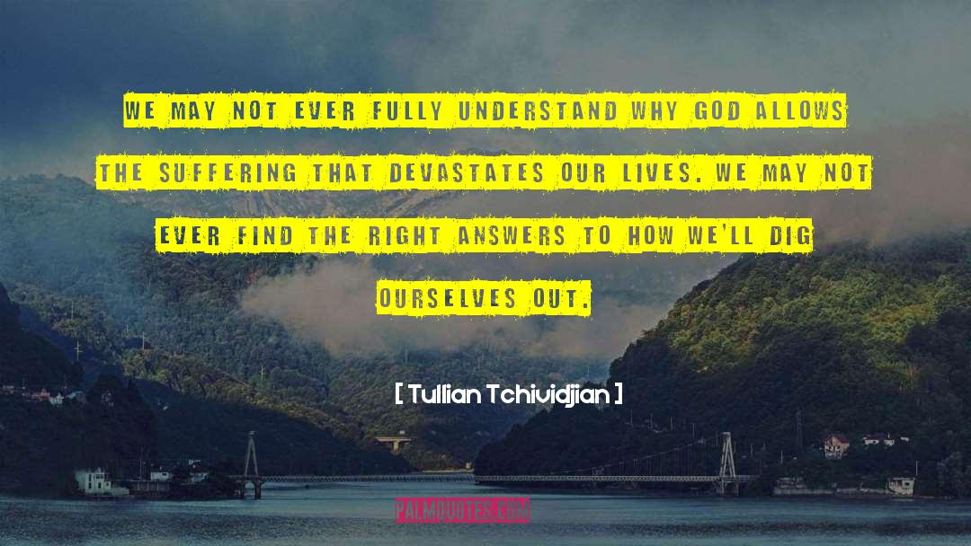 Fully Understand quotes by Tullian Tchividjian